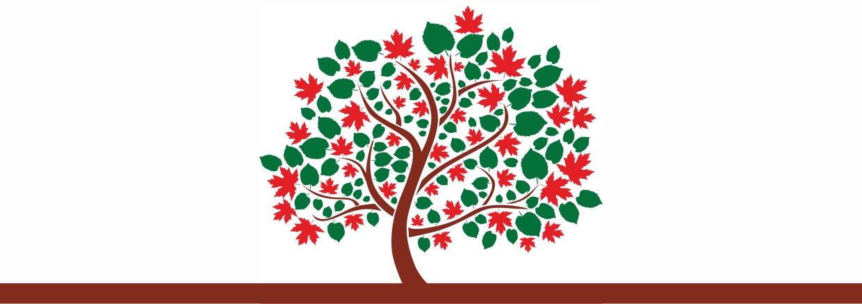 ALBERO_COMUNITA_Slide5